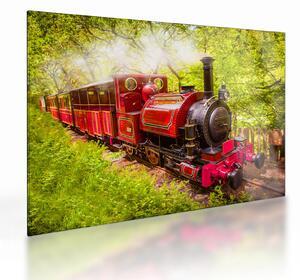 Tablou pe sticlă - Tren cu aburi (70x50 cm)