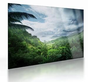 Tablou pe sticlă -Jungla din Seychelles (70x50 cm)