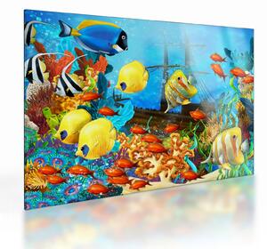 Tablou pe sticlă - Recif de corali colorat (70x50 cm)