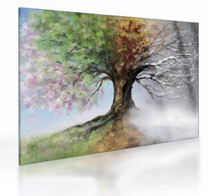 Tablou pe sticlă - Arborele celor patru anotimpuri (70x50 cm)