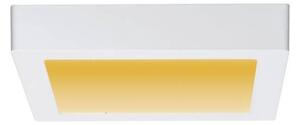 Plafonieră LED/13W CARPO 230V 2300-3000K Paulmann 79796