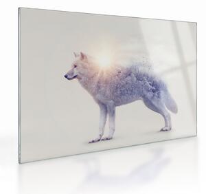 Tablou pe sticlă - Lupul arctic oglindit în peisaj sălbatic (70x50 cm)