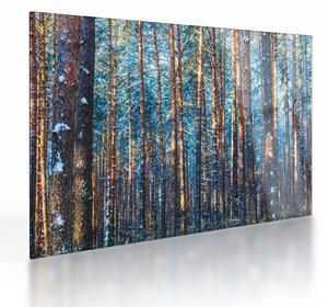 Tablou pe sticlă - Pădurea iarna (70x50 cm)