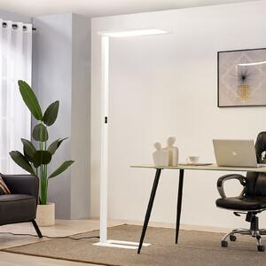 PRIOS Prios LED lampă de podea pentru birou Taronis, alb, 195 cm, dimabil, reglabil, Alb, Studiu / Birou, Metal, Modern