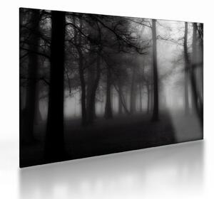 Tablou pe sticlă - Pădure în ceață (70x50 cm)