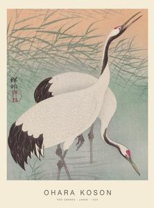 Reproducere Two Cranes (Special Edition) - Ohara Koson