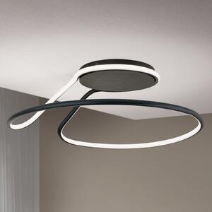 ORION Claire plafonieră LED, neagră, reglabilă, reglabil, Negru, Hol, Metal, Modern