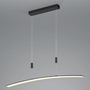 HELL Lampă suspendată cu LED Dual telecomandă CCT negru, reglabil, Negru, Camera de zi / sufragerie, Metal, Modern