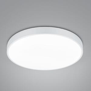 Trio Lighting Plafonieră cu LED Waco, CCT, Ø 49,5 cm, alb mat, reglabil, Alb, Camera de zi / sufragerie, Metal