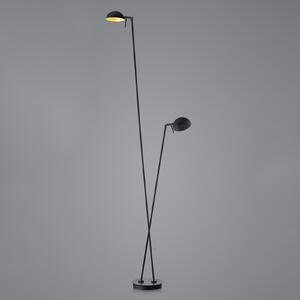HELL Lampă de podea cu LED Samy 2-light 180cm negru/auriu, reglabil, Negru, Camera de zi / sufragerie, Metal, Modern, Umbrelă în picioare