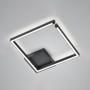 Knapstein Plafonieră Yoko LED, sus/jos, 40x40 cm, negru, reglabil, Negru, Camera de zi / sufragerie, Metal, Modern