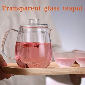 Cana pentru ceai din sticla borosilicata cu infuzor si capac 450 ml