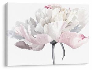 Tablou - Floare de trandafir (70x50 cm)