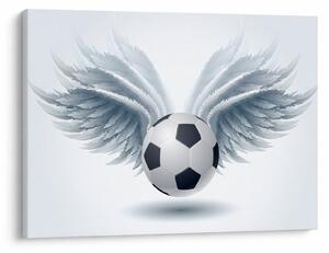 Tablou - Balon cu aripi (70x50 cm)