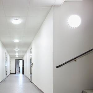 STEINEL RS Pro S20 SC plafonieră LED Sensor 4000K, reglabil, Alb, Hol, Metal