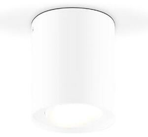 EVN Kardanus plafonieră LED, Ø 9 cm, alb, reglabil, Alb, Camera de zi / sufragerie, Metal, Modern