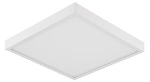 EVN Planus panou LED 27,2x27,2cm 24 W 4.000 K, Alb, Studiu / Birou, Metal, Modern