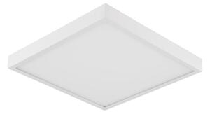 EVN Planus panou LED 27,2x27,2cm 24 W 3.000 K, Alb, Studiu / Birou, Metal, Modern