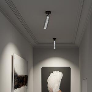 Top Light Neo! Spot Wall/Ceiling proiector LED HV, aluminiu, reglabil, Metalic, Camera de zi / sufragerie, Metal, Modern