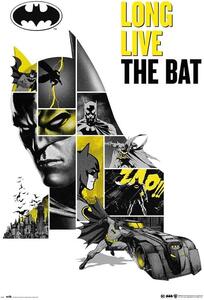Poster Batman - 80th Anniversary, (61 x 91.5 cm)
