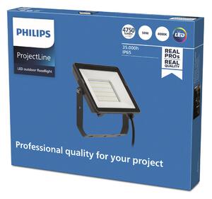 Philips Spot ProjectLine LED pentru exterior 4.000K 50W, Negru, Metal, Spot de exterior / vârf de pământ