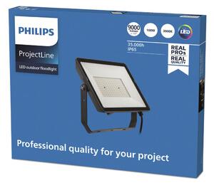 Philips Spot de exterior ProjectLine LED 3.000K 100W, Negru, Metal, Spot de exterior / vârf de pământ
