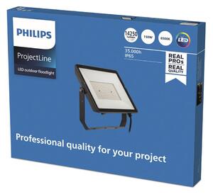 Philips Spot de exterior ProjectLine LED 6,500K 150W, Negru, Metal, Spot de exterior / vârf de pământ