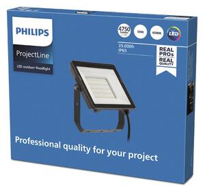 Philips Spot ProjectLine LED pentru exterior 6.500K 50W, Negru, Metal, Spot de exterior / vârf de pământ