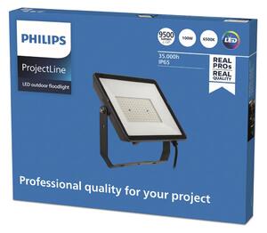 Philips Spot ProjectLine LED pentru exterior 6.500K 100W, Negru, Metal, Spot de exterior / vârf de pământ