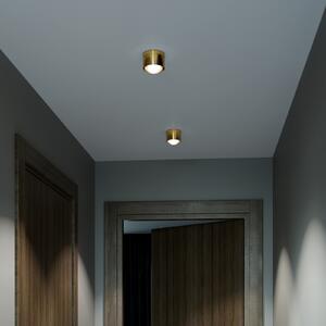 Top Light Puk! 80 One spot LED tavan lentilă mată, alamă, reglabil, Auriu / Alamă, Camera de zi / sufragerie, Metal, Modern