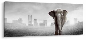 Tablou - Elefanți în oraș, versiunea alb-negru (120x50 cm)