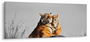 Tablou - Tigroaica cu pui, versiunea alb-negru (120x50 cm)