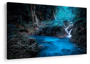 Tablou - Noaptea magică în pădurea tropicală (90x60 cm)
