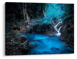 Tablou - Noaptea magică în pădurea tropicală (70x50 cm)