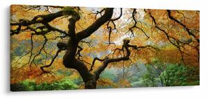 Tablou - Arțarul japonez galben, Portland, Oregon (120x50 cm)