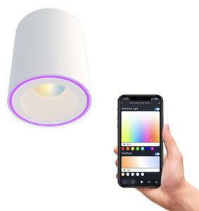 Calex Smart Halo Spot LED spot de plafon, alb, reglabil, Alb, Camera de zi / sufragerie, Plastic, Modern