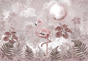 Fototapet - Flamingo (147x102 cm)