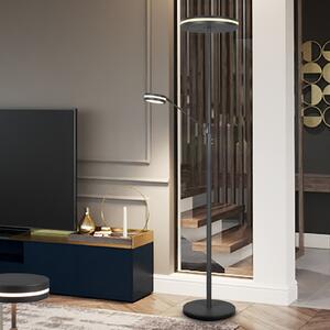 Trio Lighting Lampa LED de tavan Franklin, lampă citit, antracit, reglabil, Negru, Camera de zi / sufragerie, Metal, Modern, Lumină de lectură