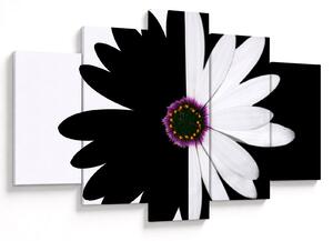 Tablou - Floare, alb- negru (150x105 cm)