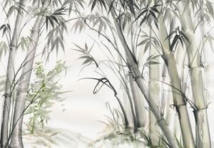 Fototapet - Bambuși (147x102 cm)