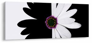 Tablou - Floare, alb- negru (120x50 cm)