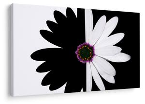 Tablou - Floare, alb- negru (90x60 cm)