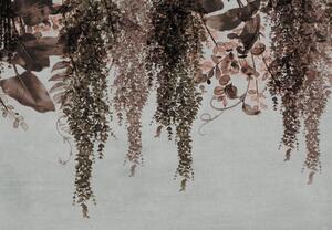 Fototapet - Plante târâtoare (147x102 cm)