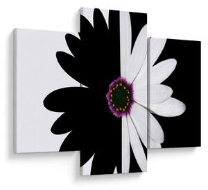 Tablou - Floare, alb- negru (90x60 cm)