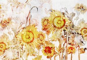 Fototapet - Floarea-soarelui (147x102 cm)