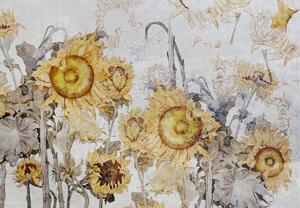 Fototapet - Floarea-soarelui pe perete (147x102 cm)