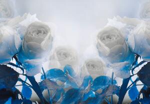 Fototapet - Trandafiri albi (147x102 cm)