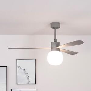 FARO BARCELONA Ventilator de tavan Amelia Ball lampă LED gri, reglabil, Gri, Camera de zi / sufragerie, Plastic, Modern