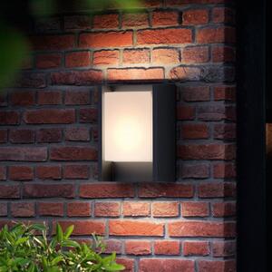 Philips LED lampă de perete exterior Arbour UE, 3.000 K, Negru, Metal, Modern