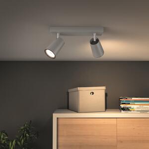 Philips myLiving Paisley Spot GU10 cu 2 becuri din aluminiu, reglabil, Metalic, Camera de zi / sufragerie, Metal